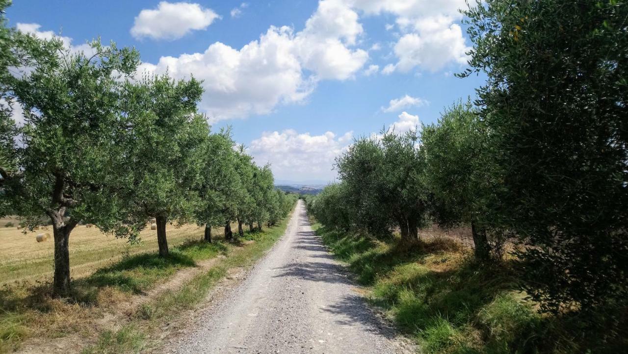 Casa Rossa Farm stay *