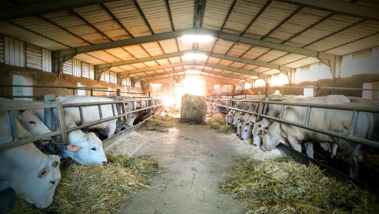 Farm stay Casa Rossa Chianciano Terme